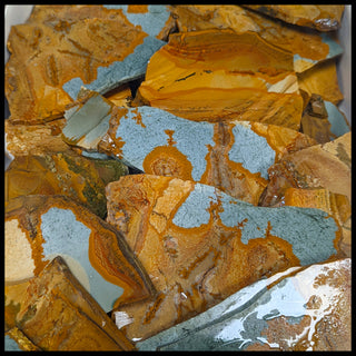 Blue Mustang Picture Jasper Slabs - 1 lb lot
