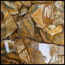 Owyhee Picture Jasper Slabs - 1 lb lot