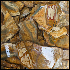 Owyhee Picture Jasper Slabs - 1 lb lot