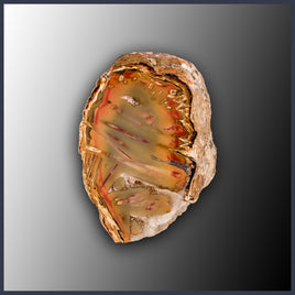 STI204 Turkish Stick Agate Specimen