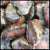 Swazi Agate Nodules, 10 lb lot