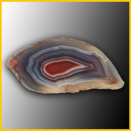 SWZ101jr Swazi Agate Specimen