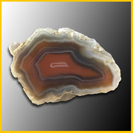 SWZ103 Swazi Agate Specimen