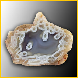 SWZ104jr Swazi Agate Specimen