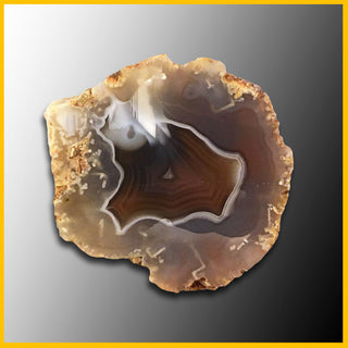 SWZ106 Swazi Agate Specimen
