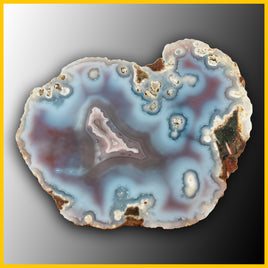 SWZ109jr Swazi Agate Specimen