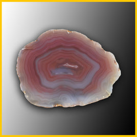 SWZ115jr Swazi Agate Specimen