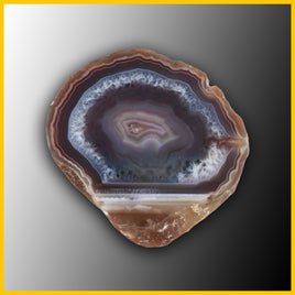 SWZ121jr Swazi Agate Specimen