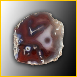 SWZ125jr Swazi Agate Specimen