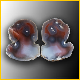SWZ133pr Swazi Agate Specimen Pair