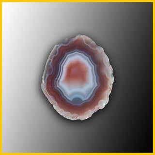 SWZ159jr Swazi Agate Specimen