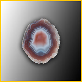 SWZ159jr Swazi Agate Specimen