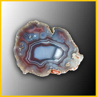 SWZ161jr Swazi Agate Specimen