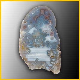 SWZ163jr Swazi Agate Specimen