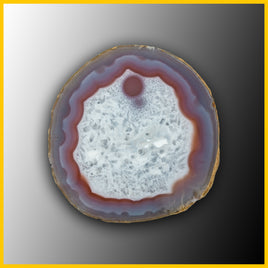 SWZ169jr Swazi Agate Specimen