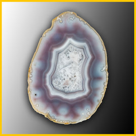 SWZ171jr Swazi Agate Specimen