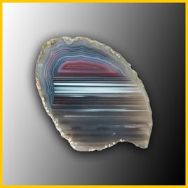 SWZ183jr Swazi Agate Specimen