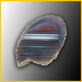 SWZ184jr Swazi Agate Specimen