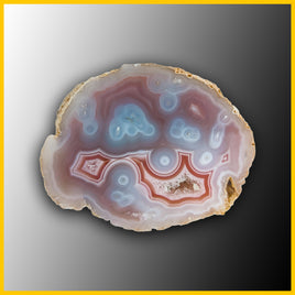 SWZ186jr Swazi Agate Specimen