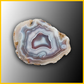 SWZ188jr Swazi Agate Specimen