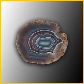 SWZ192jr Swazi Agate Specimen