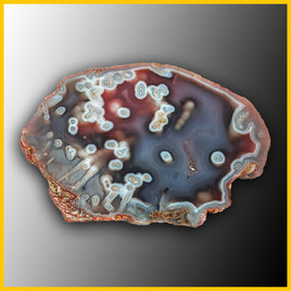 SWZ193jr Swazi Agate Specimen