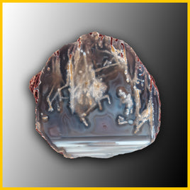 SWZ196jr Swazi Agate Specimen