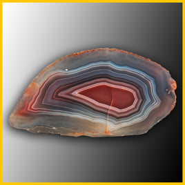 SWZ197jr Swazi Agate Specimen