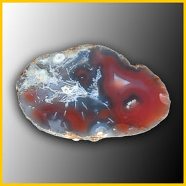 SWZ200jr Swazi Agate Specimen