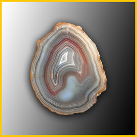 SWZ210jr Swazi Agate Specimen