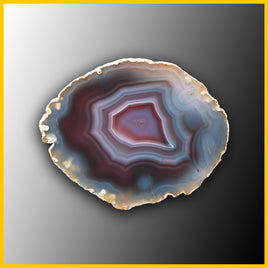 SWZ214jr Swazi Agate Specimen