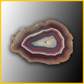 SWZ216jr Swazi Agate Specimen