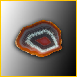 SWZ217jr Swazi Agate Specimen