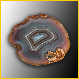 SWZ218jr Swazi Agate Specimen