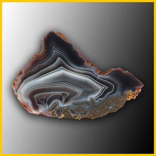 SWZ222jr Swazi Agate Specimen