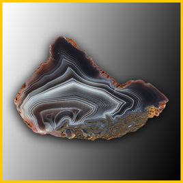 SWZ222jr Swazi Agate Specimen