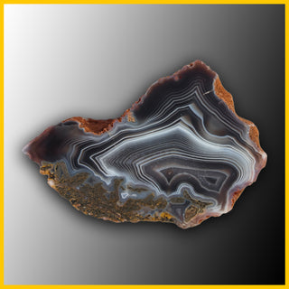 SWZ223jr Swazi Agate Specimen