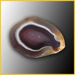 SWZ226jr Swazi Agate Specimen