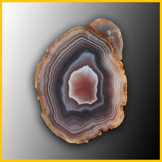 SWZ227jr Swazi Agate Specimen