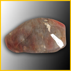 SWZ231jr Swazi Agate Tumbled Specimen