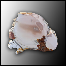 WIC130 Willow Creek Jasper Specimen