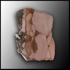 WIC141 Willow Creek Jasper Slab