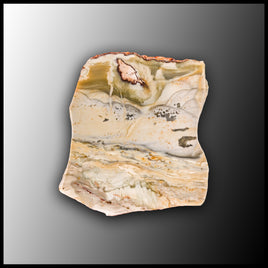 WIC150 Willow Creek Jasper Slab