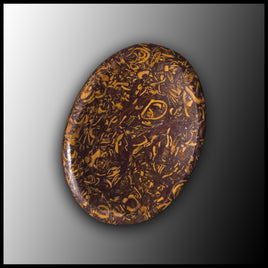 Coquina Jasper Worry Stone