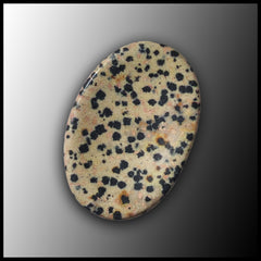 Dalmatian Stone Worry Stone