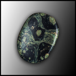 Kambaba Jasper Worry Stone